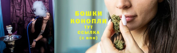 ПСИЛОЦИБИНОВЫЕ ГРИБЫ Вязьма